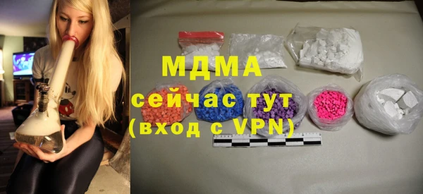 дмт Ельня