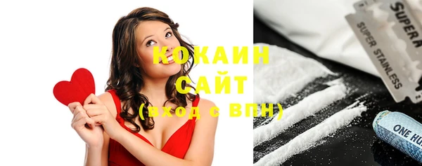 дмт Ельня