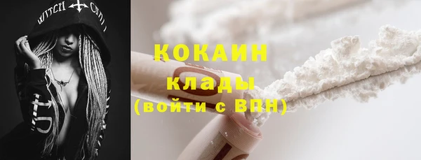 дмт Ельня