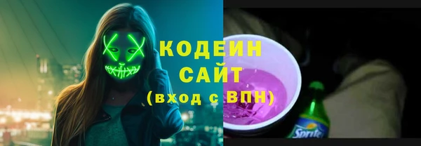 дмт Ельня