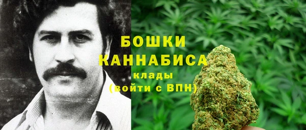дмт Ельня