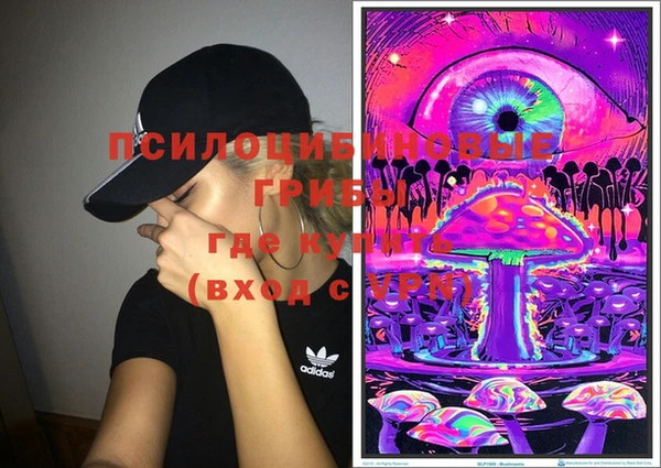 дмт Ельня