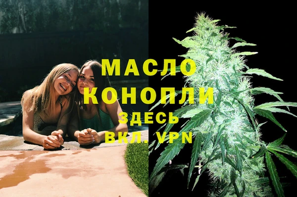 дмт Ельня
