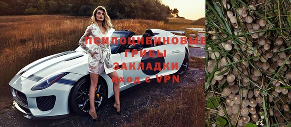 дмт Ельня