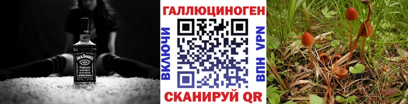 Купить закладки  Кочубеевское  Галлюциногенные грибы Psilocybine cubensis 